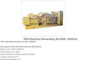 3000 dual-fuel generating sets 800，1000kw